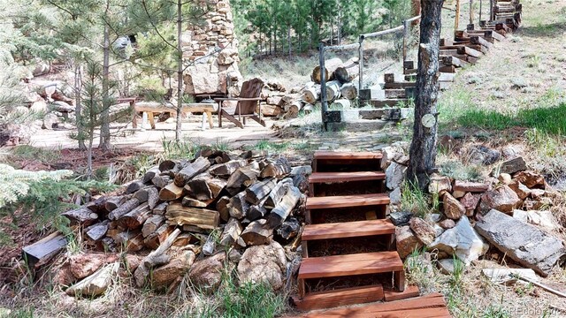 60 Ball Rd, Bailey, CO 80421 - view of yard