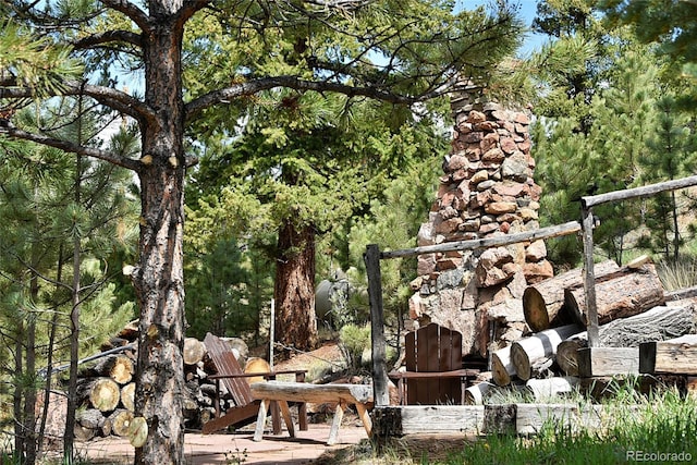 60 Ball Rd, Bailey, CO 80421 - view of yard