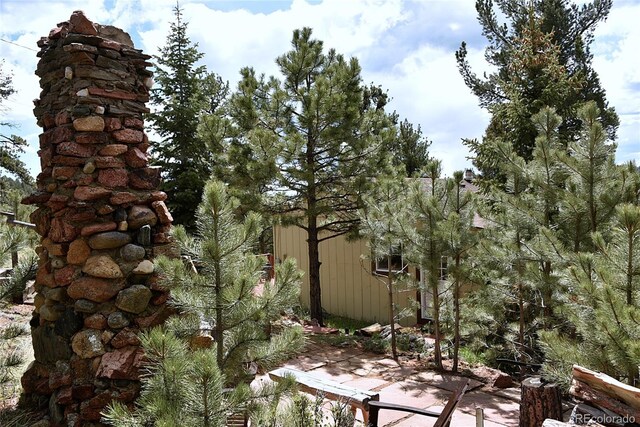 60 Ball Rd, Bailey, CO 80421 - view of side of home