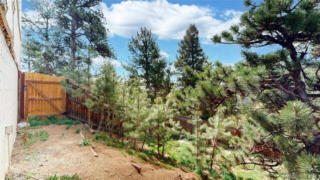 60 Ball Rd, Bailey, CO 80421 - view of yard