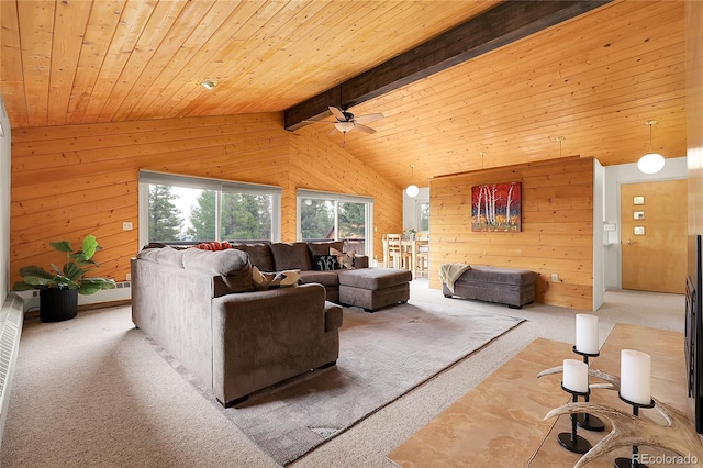 29958 Conifer Mountain Dr, Conifer, CO 80433 - photo 4