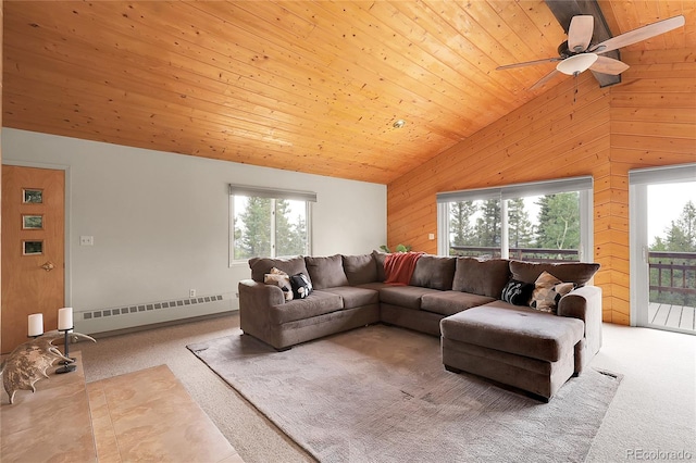 29958 Conifer Mountain Dr, Conifer, CO 80433 - photo 7