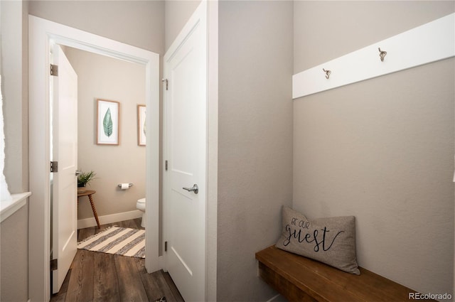 mudroom with dark wood-style floors