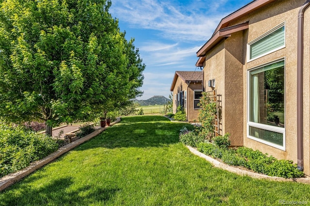 11784 Spruce Mountain Rd, Larkspur, CO 80118 - photo 32