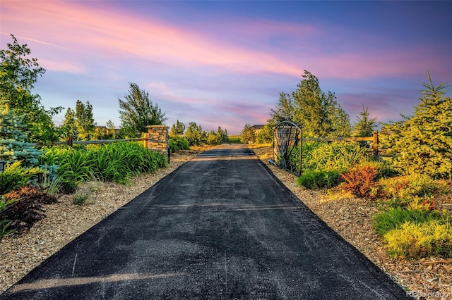 11784 Spruce Mountain Rd, Larkspur, CO 80118 - photo 41