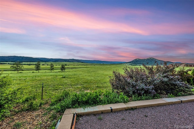 11784 Spruce Mountain Rd, Larkspur, CO 80118 - photo 48