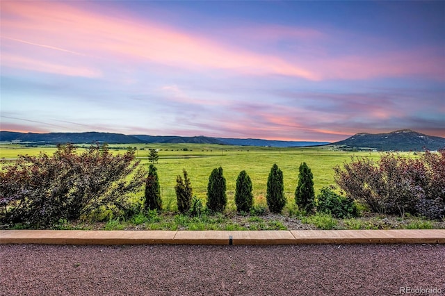 11784 Spruce Mountain Rd, Larkspur, CO 80118 - photo 49