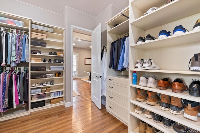 9563 Red Primrose St, Franktown, CO 80116 - walk in closet featuring light wood-style flooring