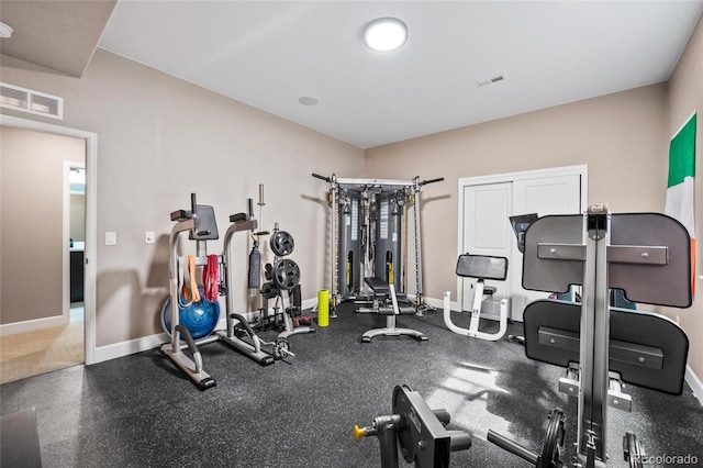 9563 Red Primrose St, Franktown, CO 80116 - workout area featuring baseboards