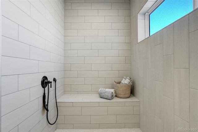 16510 Early Light Dr, Colorado Springs, CO 80908 - full bath with a tile shower
