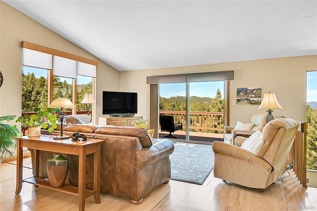 10786 Marclif Rd, Conifer, CO 80433 - living room with lofted ceiling and light wood finished floors