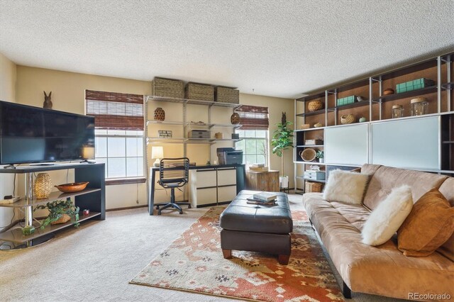 living room featuring carpet floors, a textured ceiling, and an office area