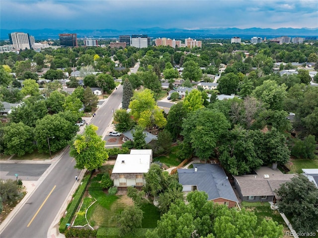 5175 E Mexico Ave, Denver, CO 80222 - photo 44