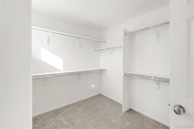 spacious closet featuring light carpet