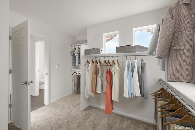 spacious closet with carpet