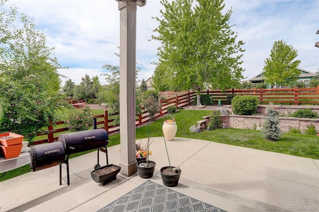 4767 S Odessa St, Centennial, CO 80015 - fenced backyard with a patio area