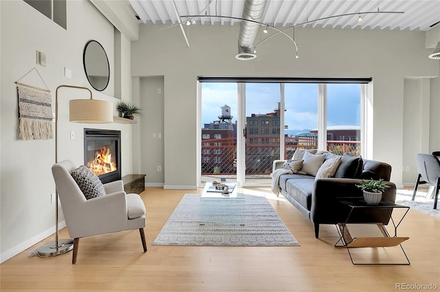 living room with rail lighting and light hardwood / wood-style flooring