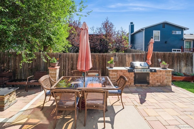 4218 E Flanders St, Denver, CO 80249 - fenced backyard featuring an outdoor kitchen, a patio area, and outdoor dining space