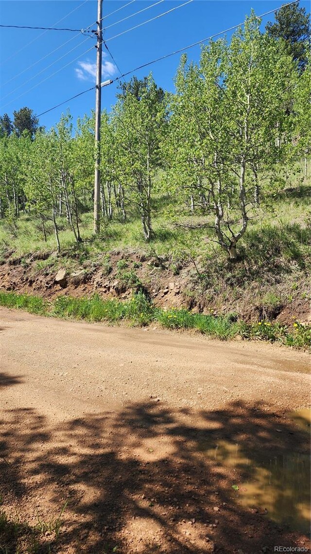 267 Ward St, Bailey, CO 80421 - photo 1