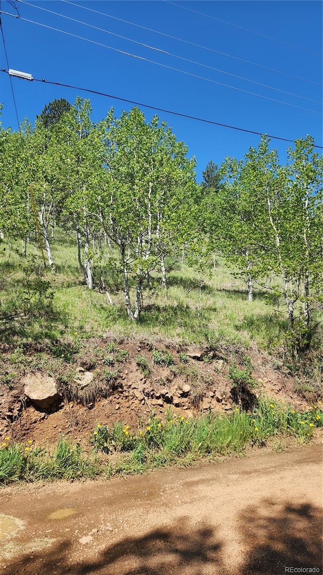 267 Ward St, Bailey, CO 80421 - photo 3