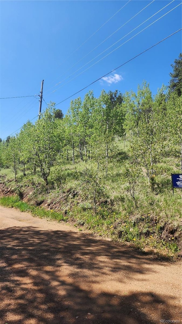 267 Ward St, Bailey, CO 80421 - photo 5