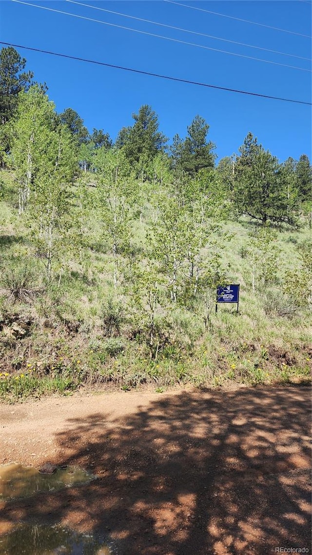 267 Ward St, Bailey, CO 80421 - photo 6