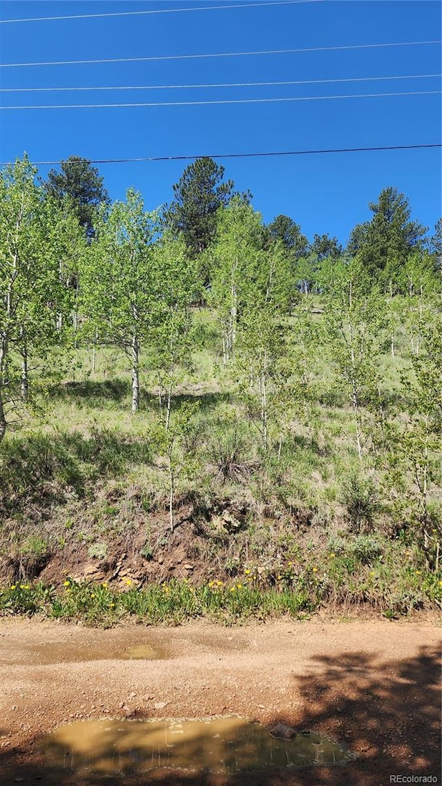 267 Ward St, Bailey, CO 80421 - photo 8
