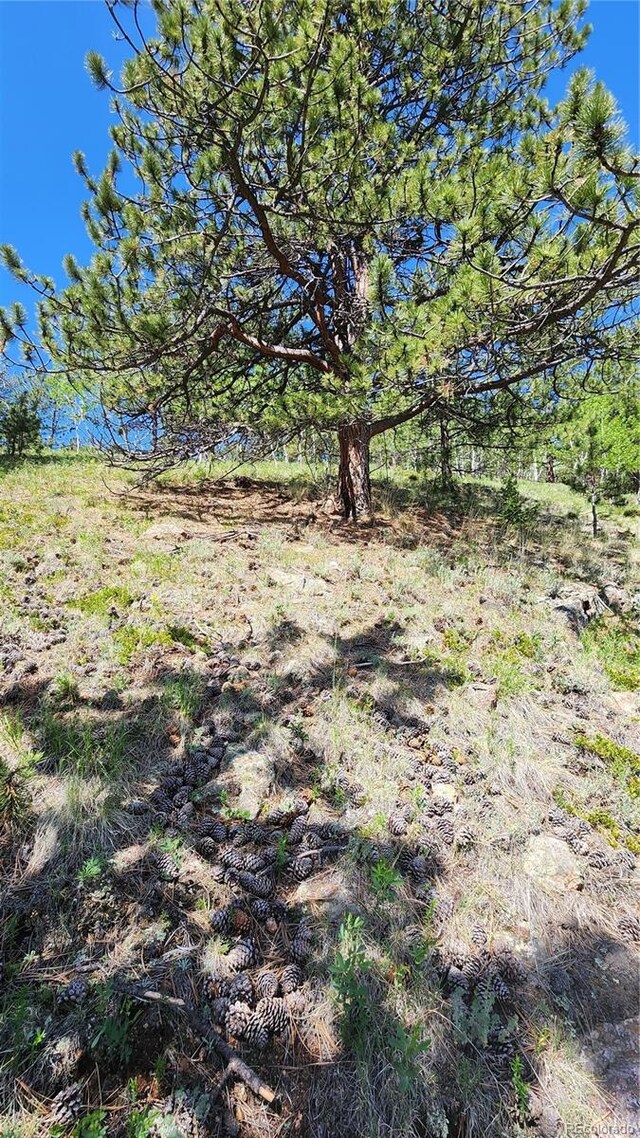 267 Ward St, Bailey, CO 80421 - photo 12