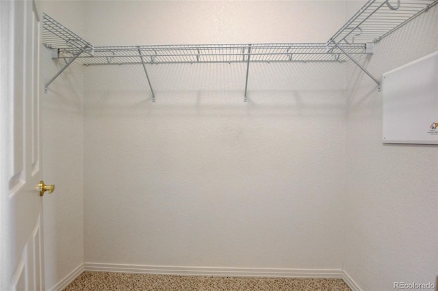 view of walk in closet