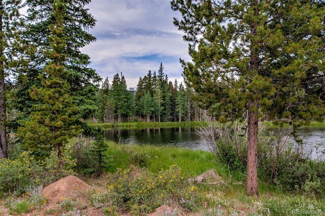 2784 Lakeside Dr, Fairplay, CO 80440 - photo 5