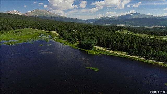 2784 Lakeside Dr, Fairplay, CO 80440 - photo 6