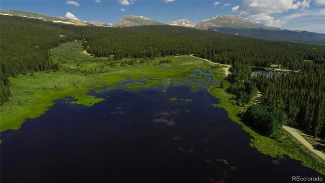 2784 Lakeside Dr, Fairplay, CO 80440 - photo 7