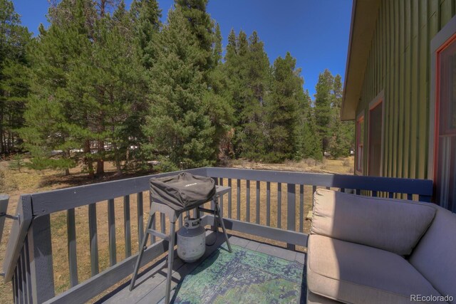 2784 Lakeside Dr, Fairplay, CO 80440 - photo 28