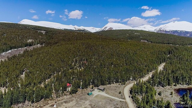 2784 Lakeside Dr, Fairplay, CO 80440 - photo 36