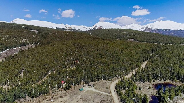 2784 Lakeside Dr, Fairplay, CO 80440 - photo 37