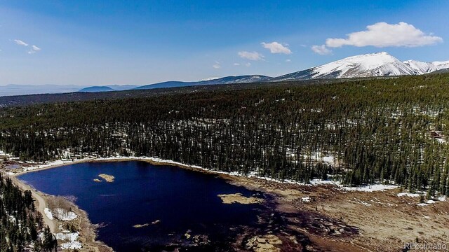 2784 Lakeside Dr, Fairplay, CO 80440 - photo 38