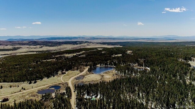 2784 Lakeside Dr, Fairplay, CO 80440 - photo 39
