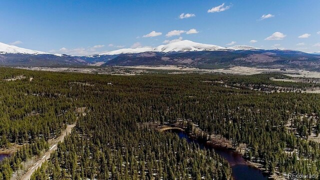 2784 Lakeside Dr, Fairplay, CO 80440 - photo 40