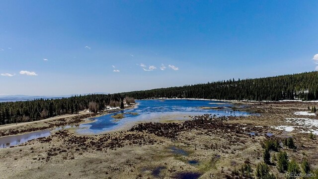 2784 Lakeside Dr, Fairplay, CO 80440 - photo 41
