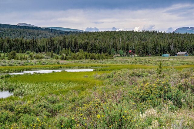 2784 Lakeside Dr, Fairplay, CO 80440 - photo 42