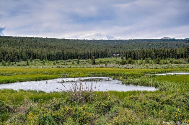 2784 Lakeside Dr, Fairplay, CO 80440 - photo 43