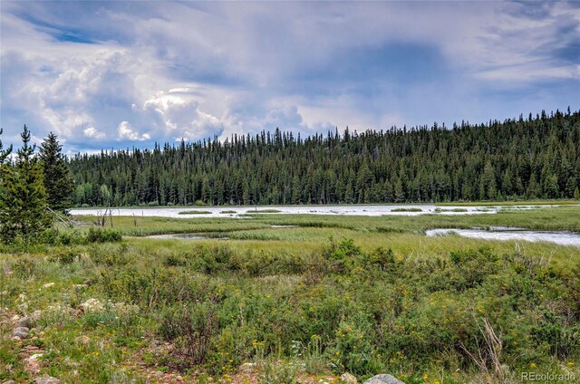 2784 Lakeside Dr, Fairplay, CO 80440 - photo 45