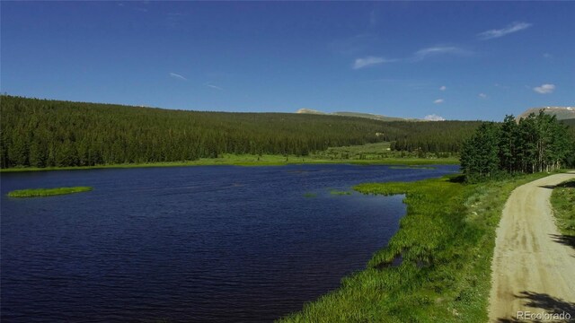 2784 Lakeside Dr, Fairplay, CO 80440 - photo 48
