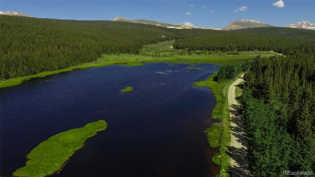 2784 Lakeside Dr, Fairplay, CO 80440 - photo 49