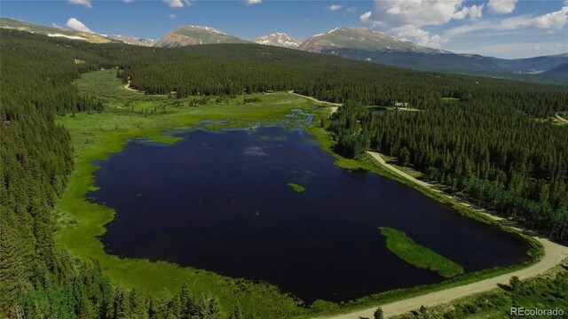2784 Lakeside Dr, Fairplay, CO 80440 - photo 50
