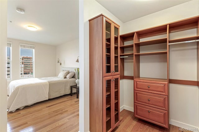 interior space featuring light hardwood / wood-style floors and a closet