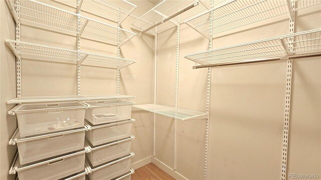 spacious closet with hardwood / wood-style flooring