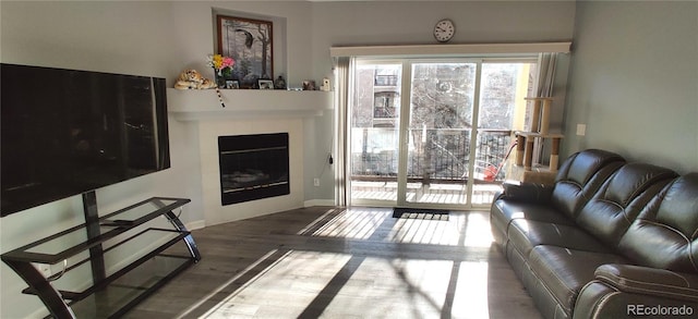 7355 S Alkire St Unit 203, Littleton, CO 80127 - living room featuring plenty of natural light, a fireplace, and wood finished floors