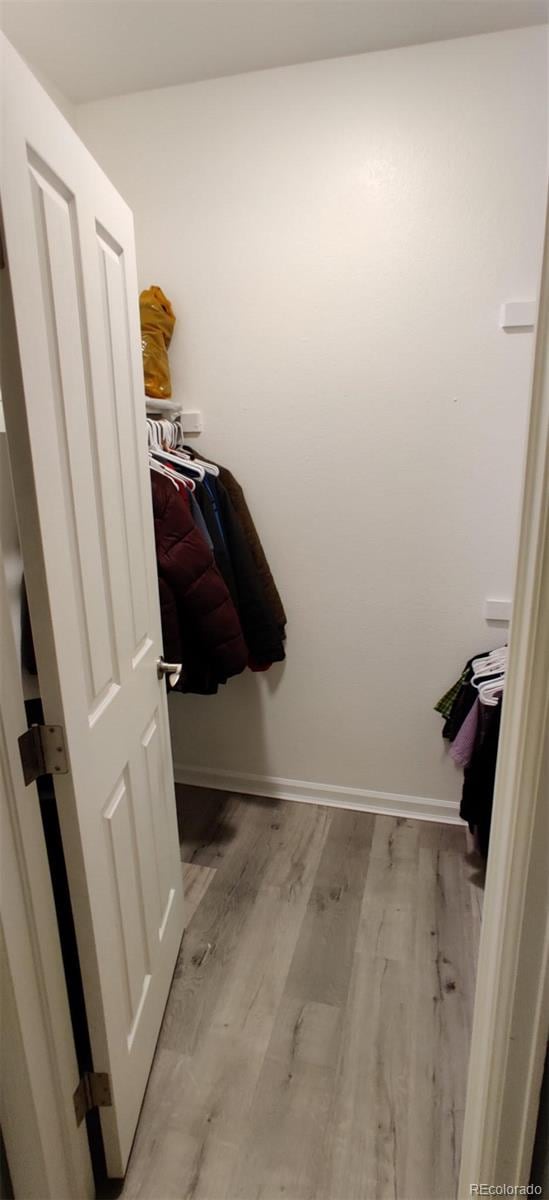 7355 S Alkire St Unit 203, Littleton, CO 80127 - walk in closet featuring light wood-style floors