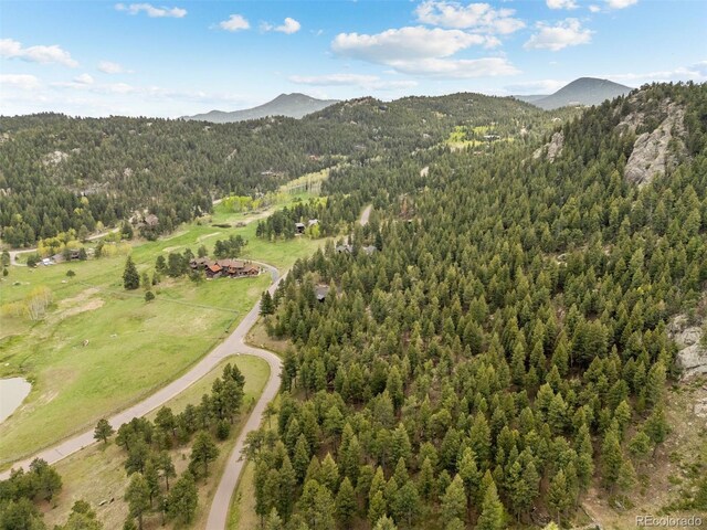 6187 Stone Creek Dr, Evergreen, CO 80439 - photo 10